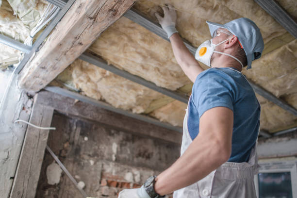 Best Insulation Installation Services in Stevenson Ranch, CA