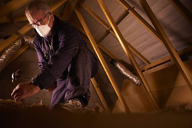 Best Types of Insulation in Stevenson Ranch, CA
