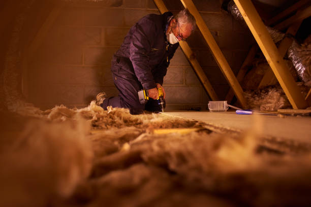 Best Insulation for Specific Applications in Stevenson Ranch, CA
